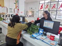 一条高效通顺的运