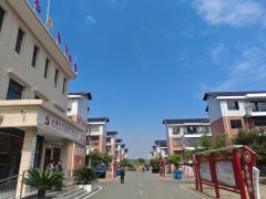 有更多精神用于安